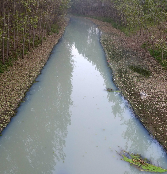  東水磨灣村西側(cè) 永通河乳青色的水面